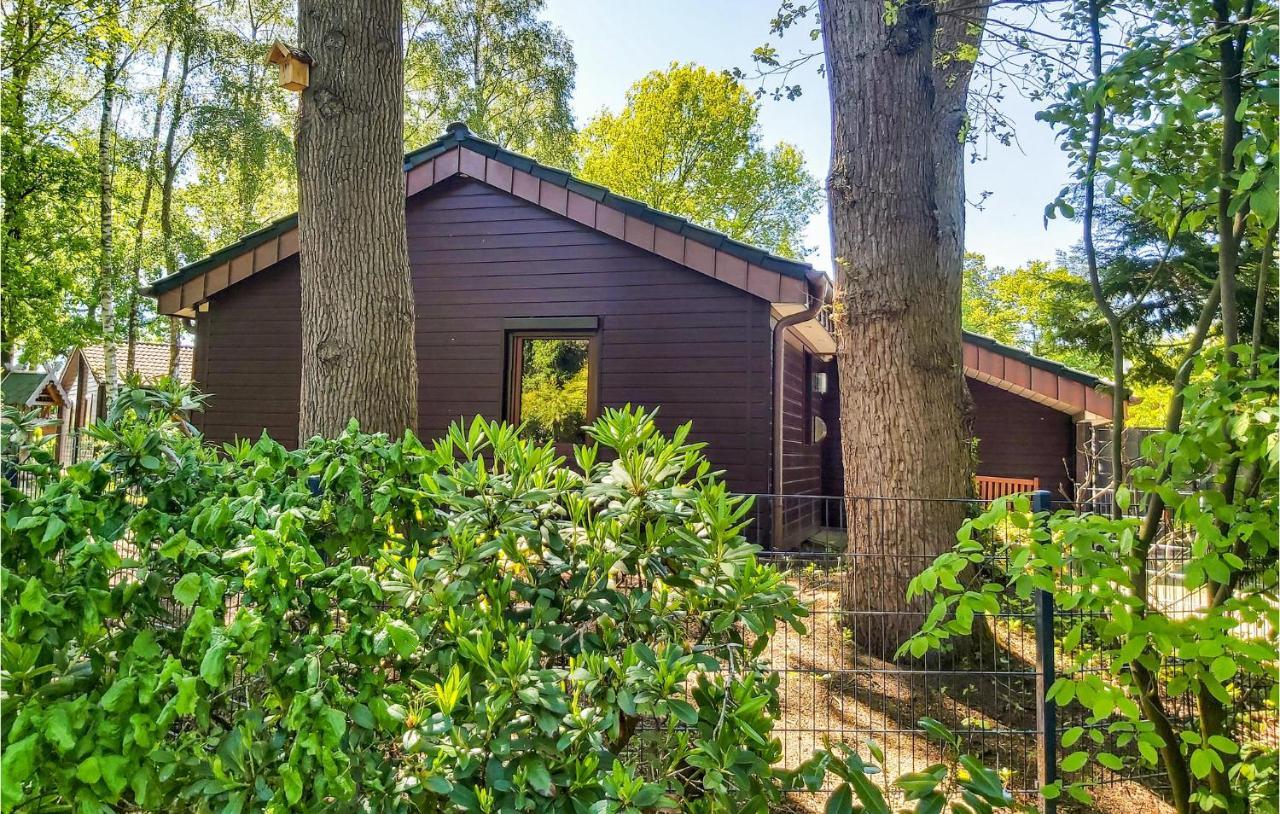 Pet Friendly Home In Haren With Sauna 당케른 외부 사진