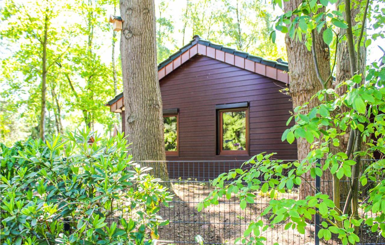Pet Friendly Home In Haren With Sauna 당케른 외부 사진