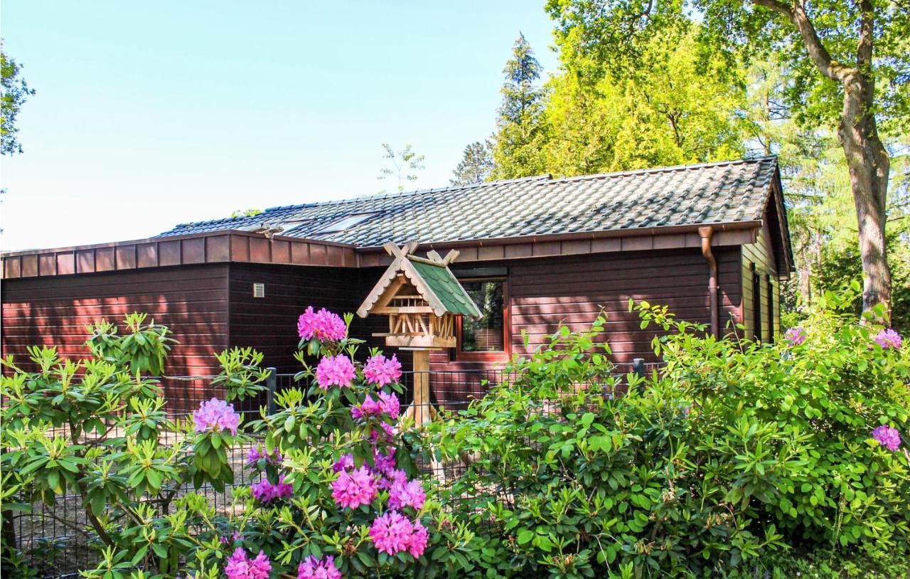 Pet Friendly Home In Haren With Sauna 당케른 외부 사진