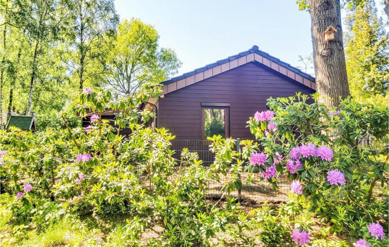 Pet Friendly Home In Haren With Sauna 당케른 외부 사진